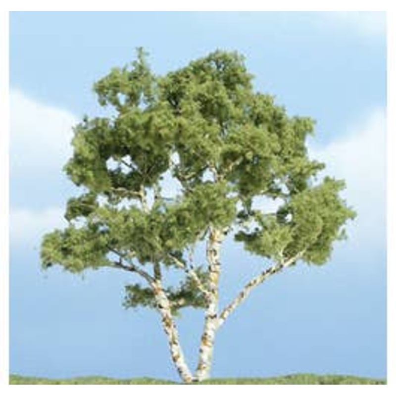 Woodland Scenics TR1601 Birch Trees 4″ – 1 pkg.