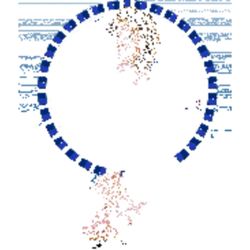 Miller Engineering #88-3851 Lg. York Girl Sign