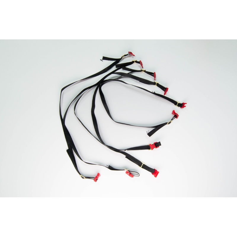 Details – Luggage Rack Straps Red Buckle