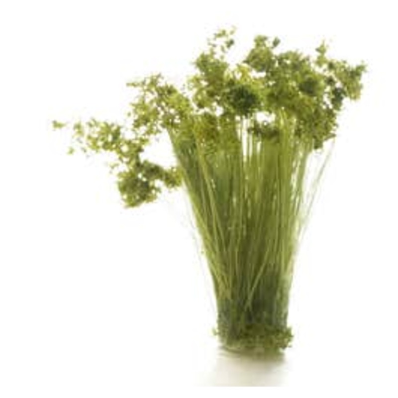 Woodland Scenics FS777 Medium Green Prairie Grass