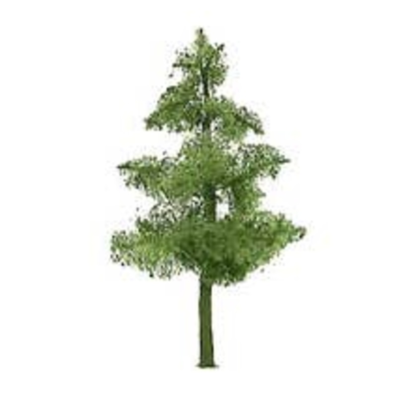 JTT 94290 Pine Trees 1-1/2″ (6 per pack)