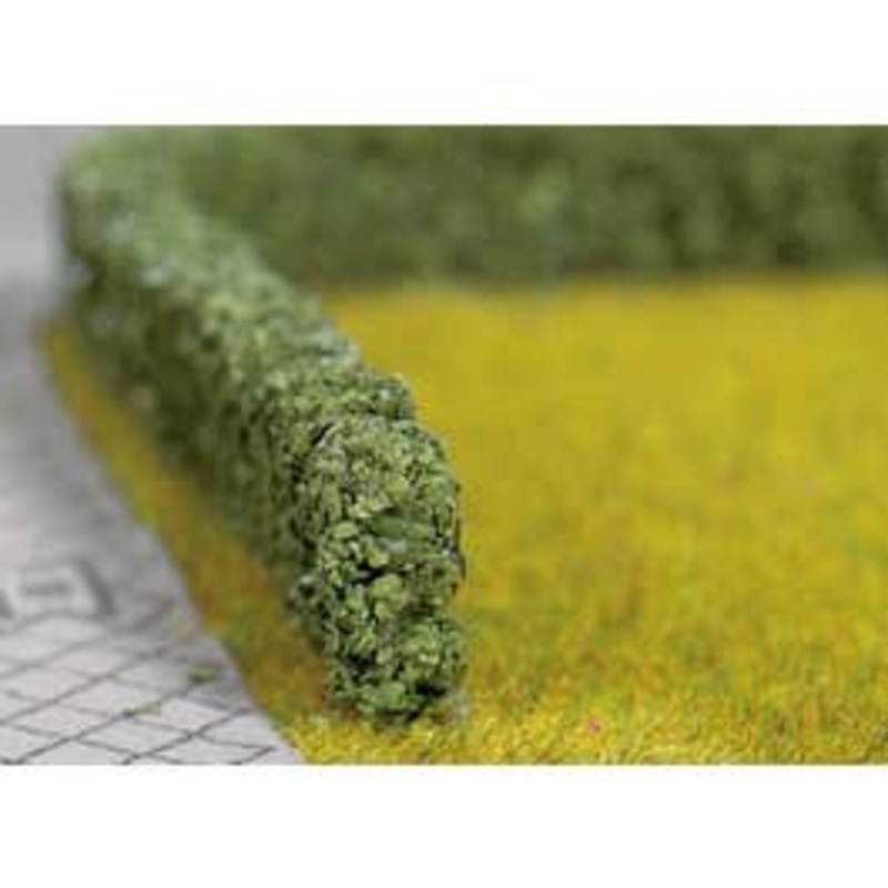 NOCH 21514  Hedges