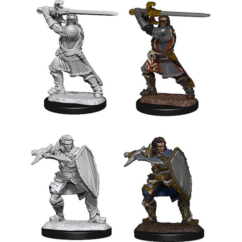 D&D Nolzur’s Marvelous Miniatures: Male Human Paladin