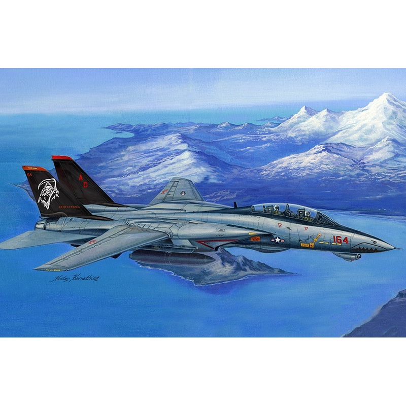 Hobby Boss – 1/48 F-14D Super Tomcat (80368)