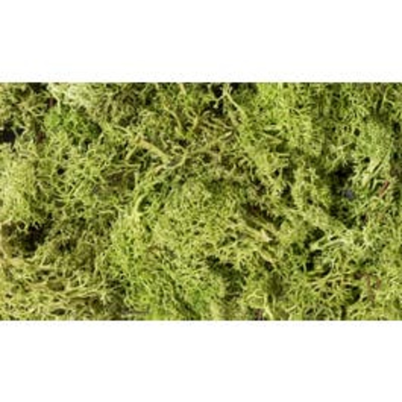 Woodland Scenics L162 Lichen – Light Green