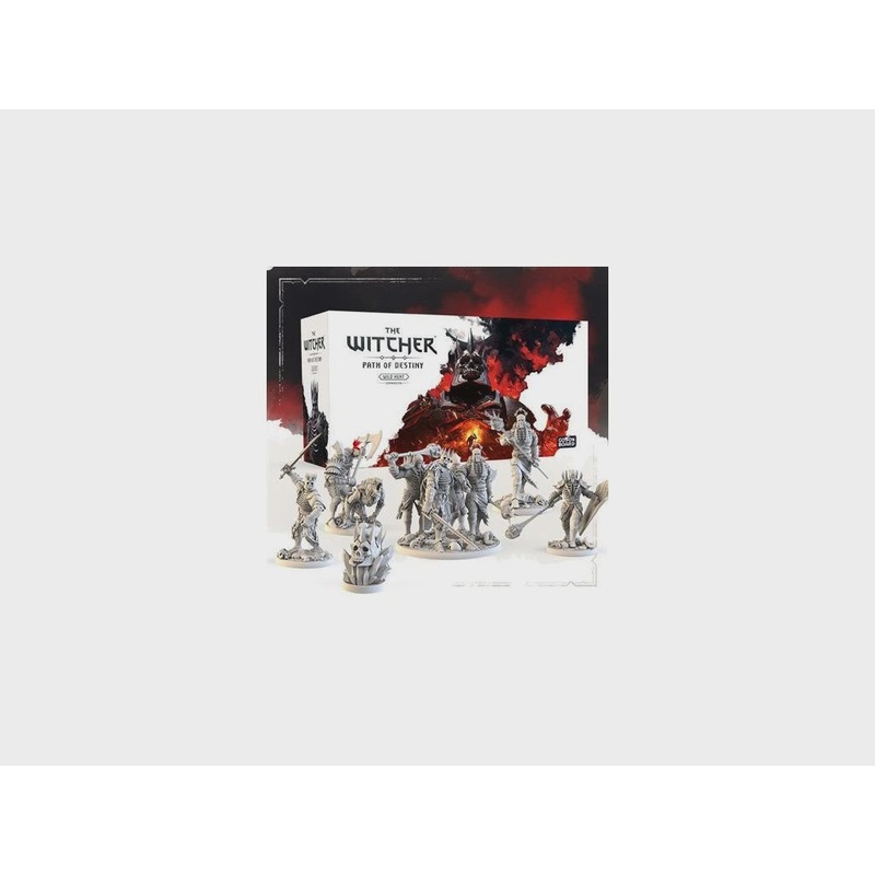 The Witcher: Path of Destiny – Wild Hunt Expansion