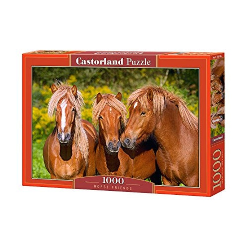 Castorland – Horse Friends (1000pcs)