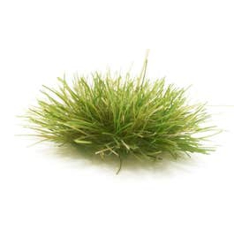 Woodland Scenics FS771 Medium Green Grass Tufts