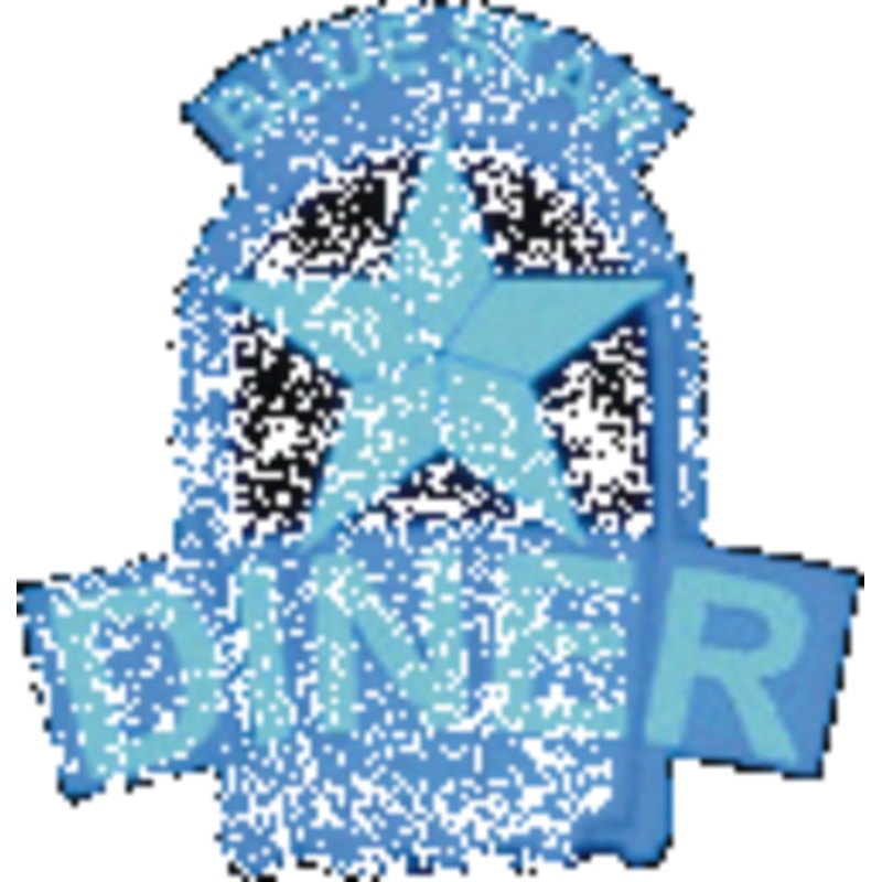 Miller Engineering #5582 Horizontal Sign Lighting Kits – Animated — Blue-Star Diner – Medium