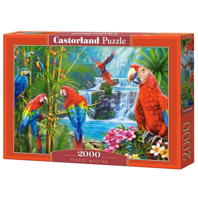 Castorland – Parrot Meeting (2000 pcs)
