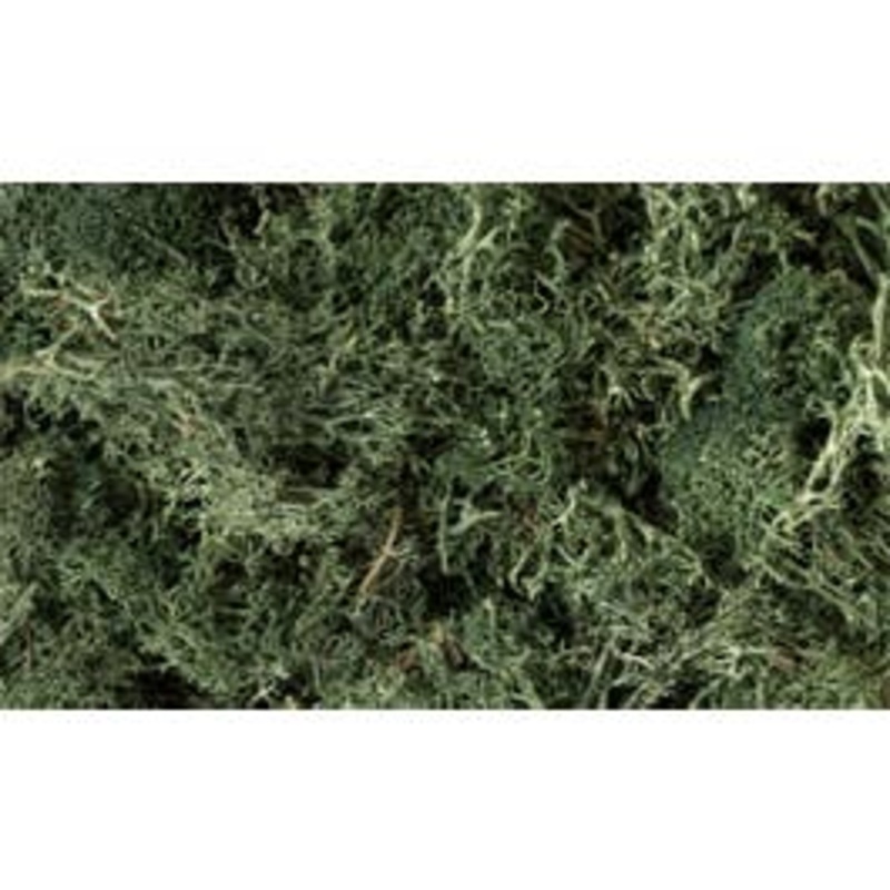 Woodland Scenics L164 Lichen – Dark Green