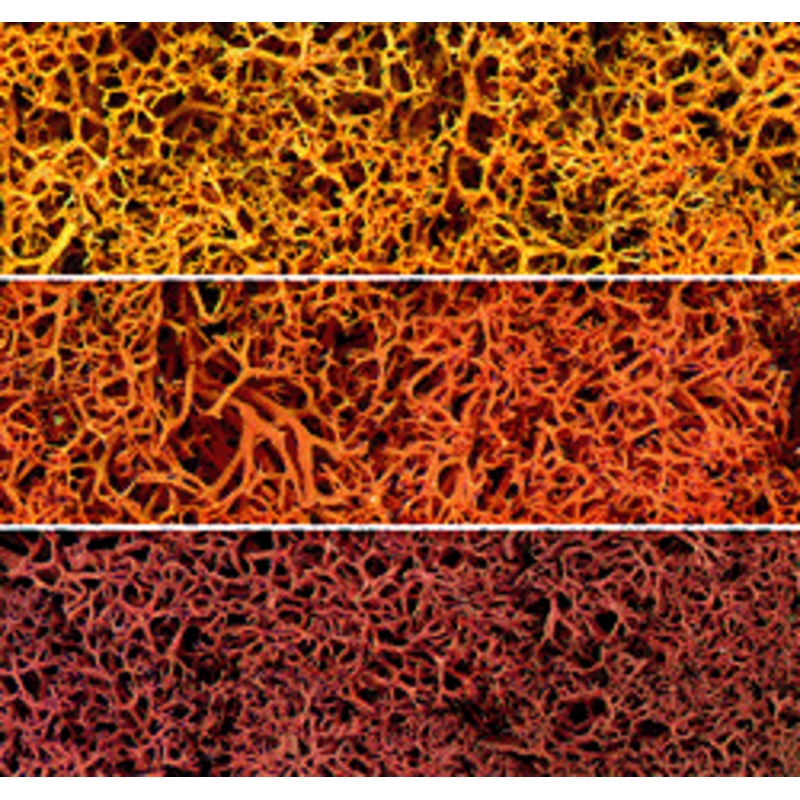 Woodland Scenics 165 Lichen Bag, Autumn Mix (86.6 cu in)