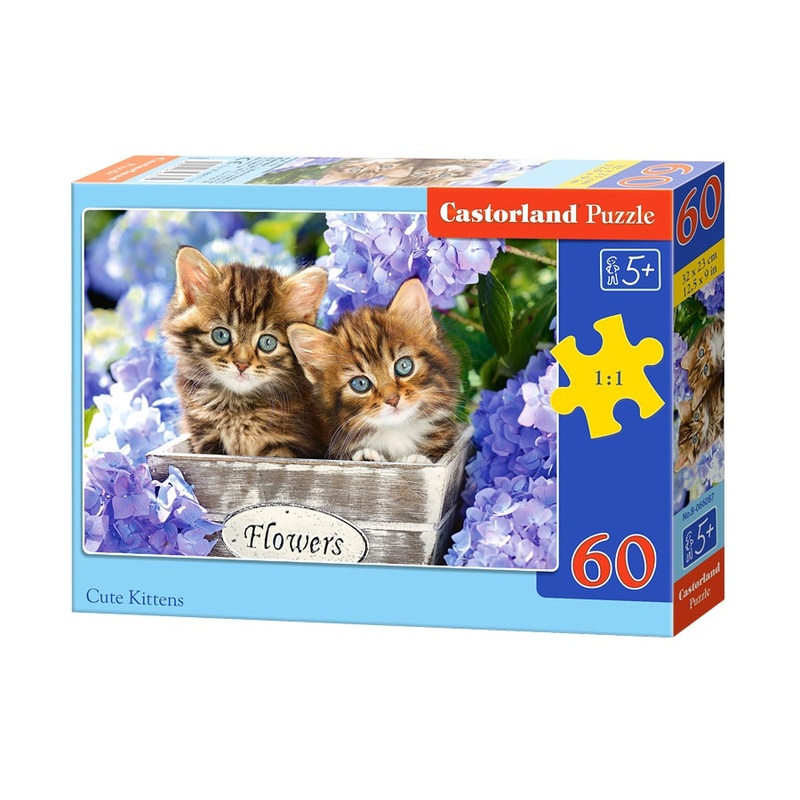 Castorland – Cute Kitten (60pcs)