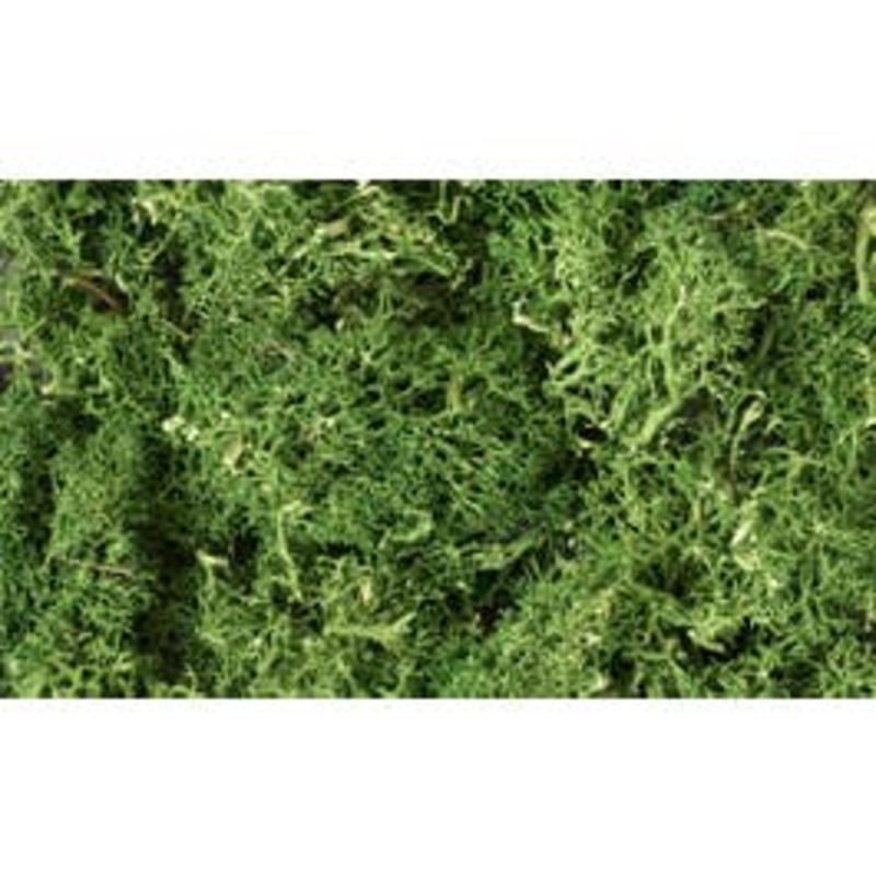 Woodland Scenics L163 Lichen – Medium Green