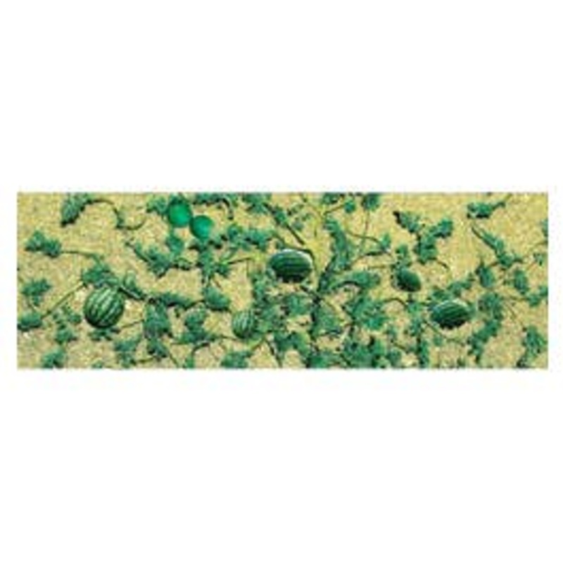 JTT 95576 Watermelon Patch 2 3/4″ Long (4/pk)