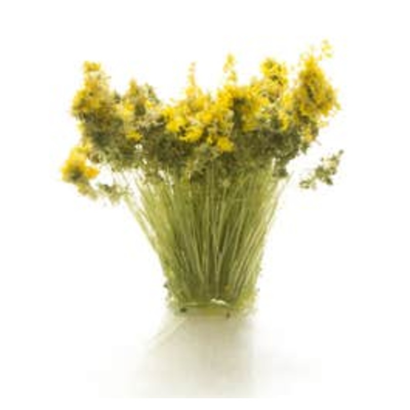 Woodland Scenics FS776 Light Green Prairie Grass