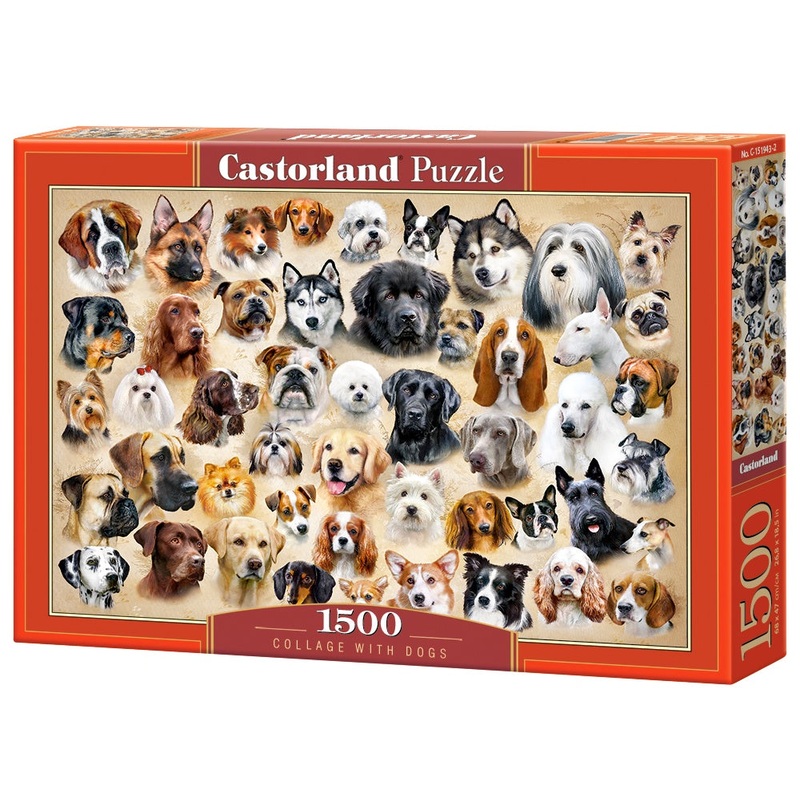 Castorland – Collage with Dogs (1500pcs)