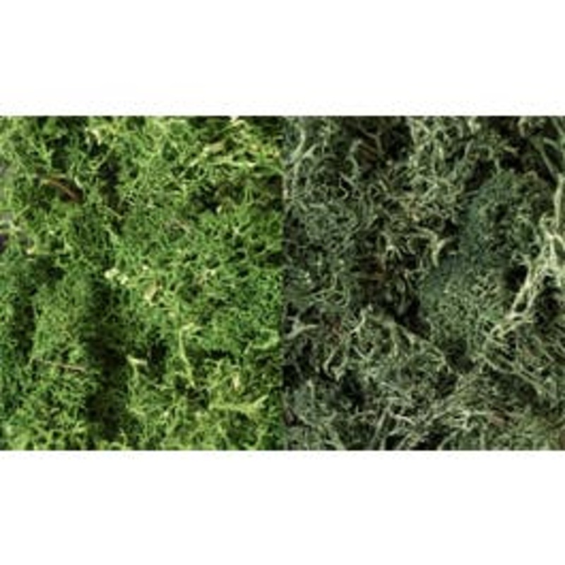 Woodland Scenics L168 Lichen – Dark Green Mix