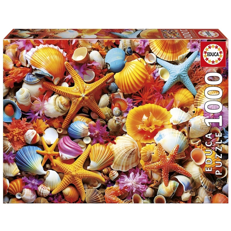 Educa – Shell Collage (1000pcs)