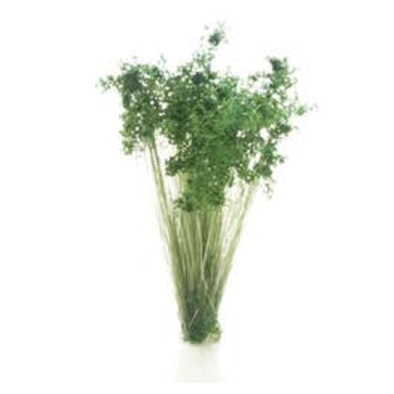 Woodland Scenics FS778 Dark Green Prairie Grass