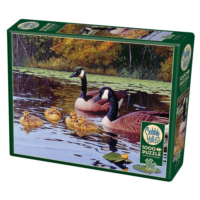 Cobble Hill – Platts Pond (1000pcs)