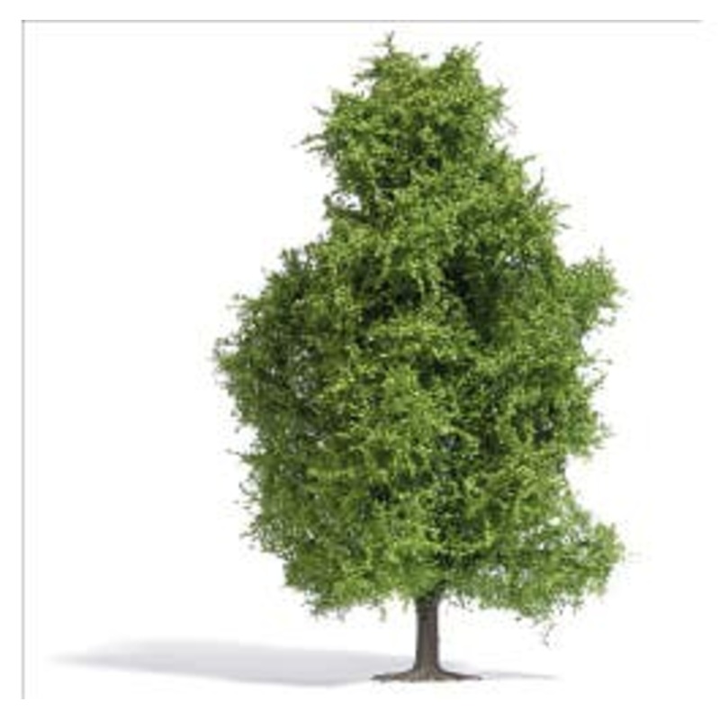 Busch 3741  HO Aspen 5.6in, spring