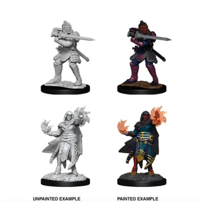 D&D Nolzur’s Marvelous Miniatures: Hobgoblin Fighter Male & Hobgoblin Wizard Female