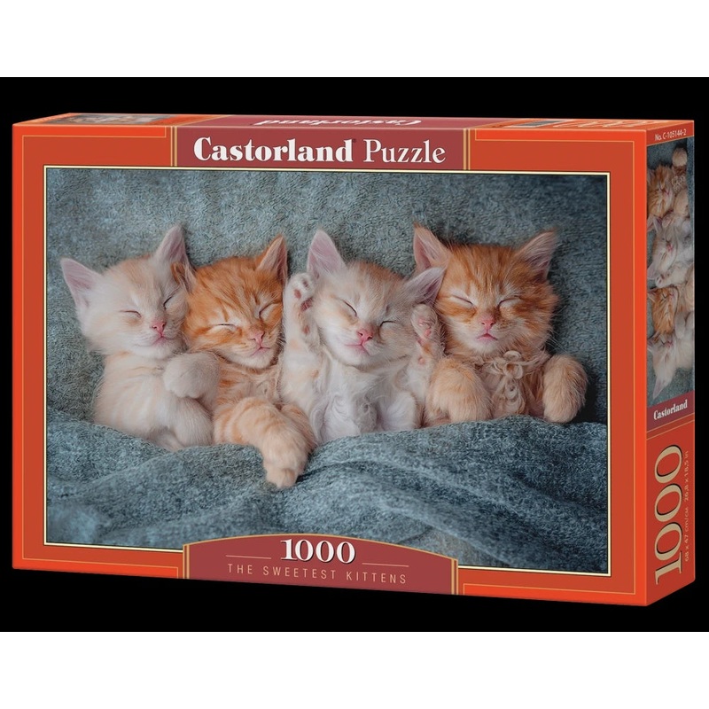 Castorland – The Sweetest Kittens (1000pcs)