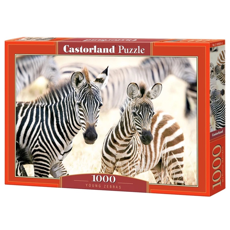 Castorland – Young Zebras (1000 pcs)