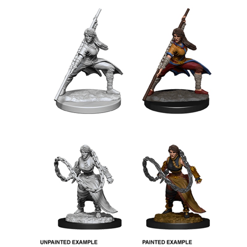 D&D Nolzur’s Marvelous Miniatures: Female Human Monk