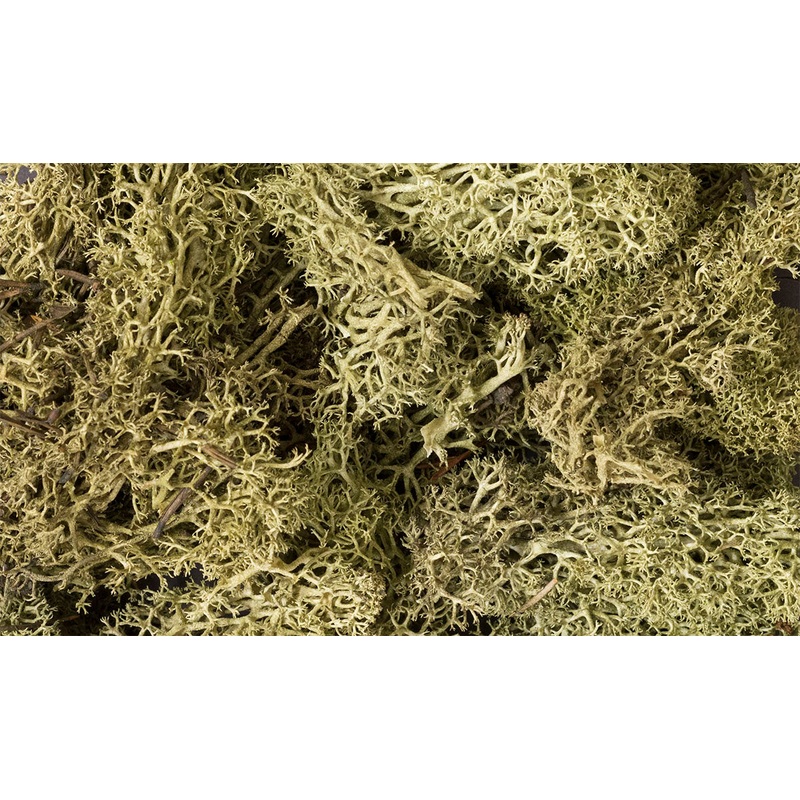 Woodland Scenics L 161 Spring Green Lichen