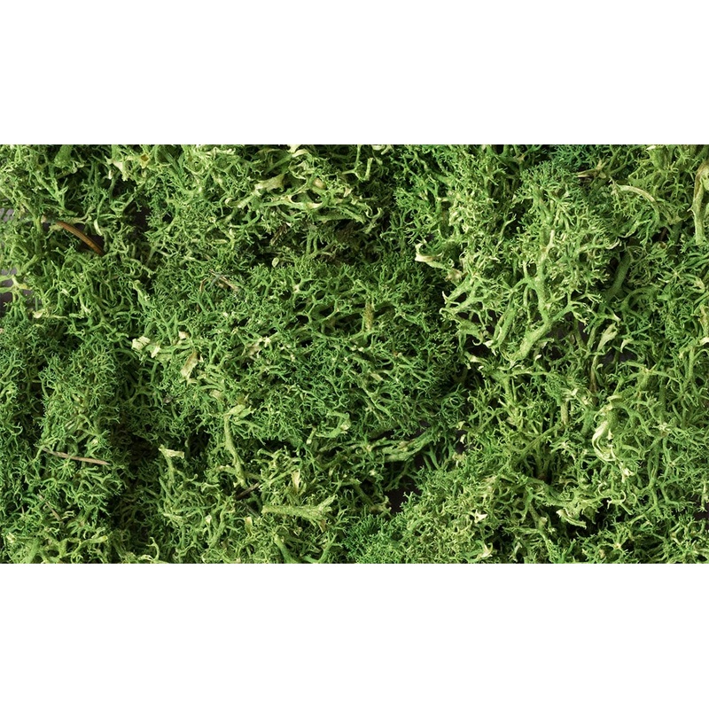 Woodland Scenics WDS L163 WDS163 Lichen – Medium Green NEW