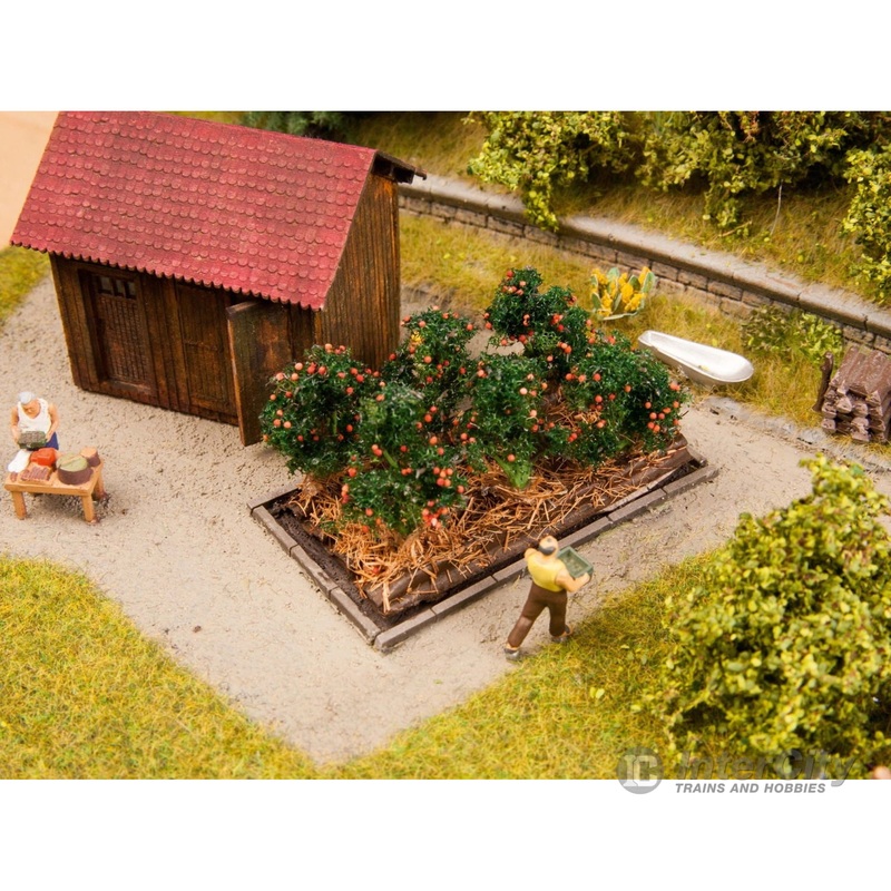 Noch 13215 HO Tomato Plants