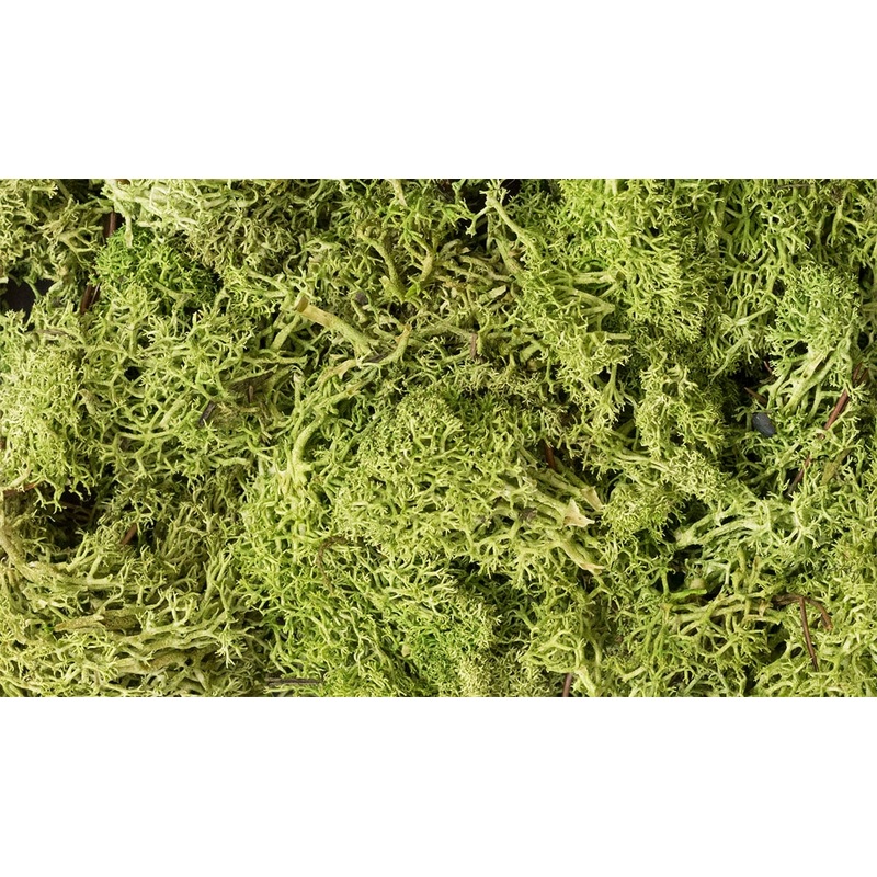 Woodland Scenics WDS L162 WDS162 Lichen – Light Green NEW