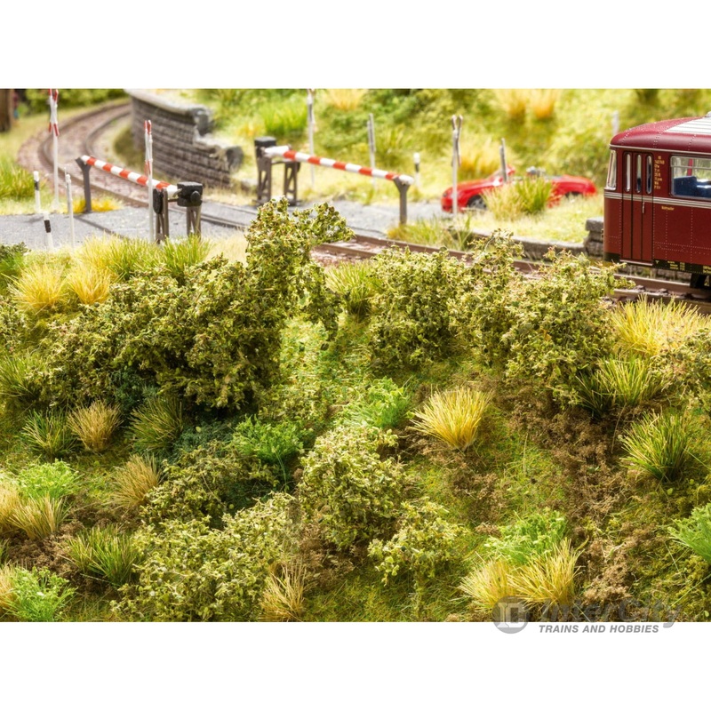 Noch 23102 HO, N, Z Embankment Vegetation