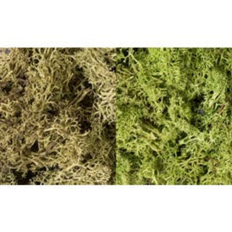 Woodland Scenics L167 Lichen – Light Green Mix
