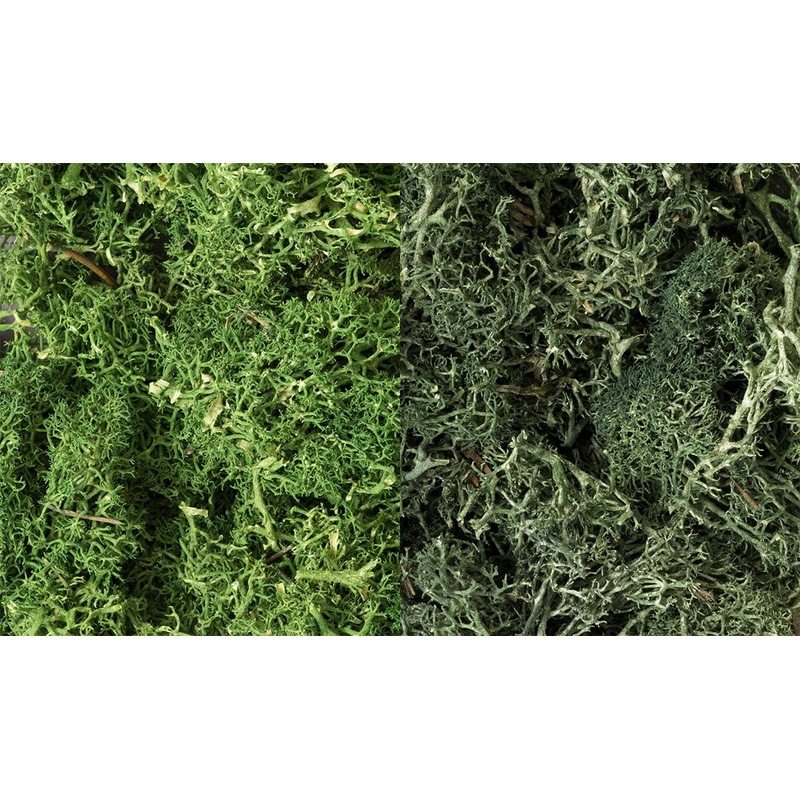 Woodland Scenics WDS L168 WDS168 Lichen – Dark Green Mix limited NEW