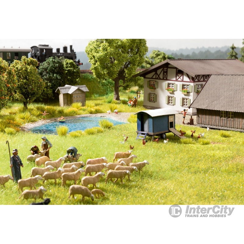 Noch 12961 N Flock of sheep
