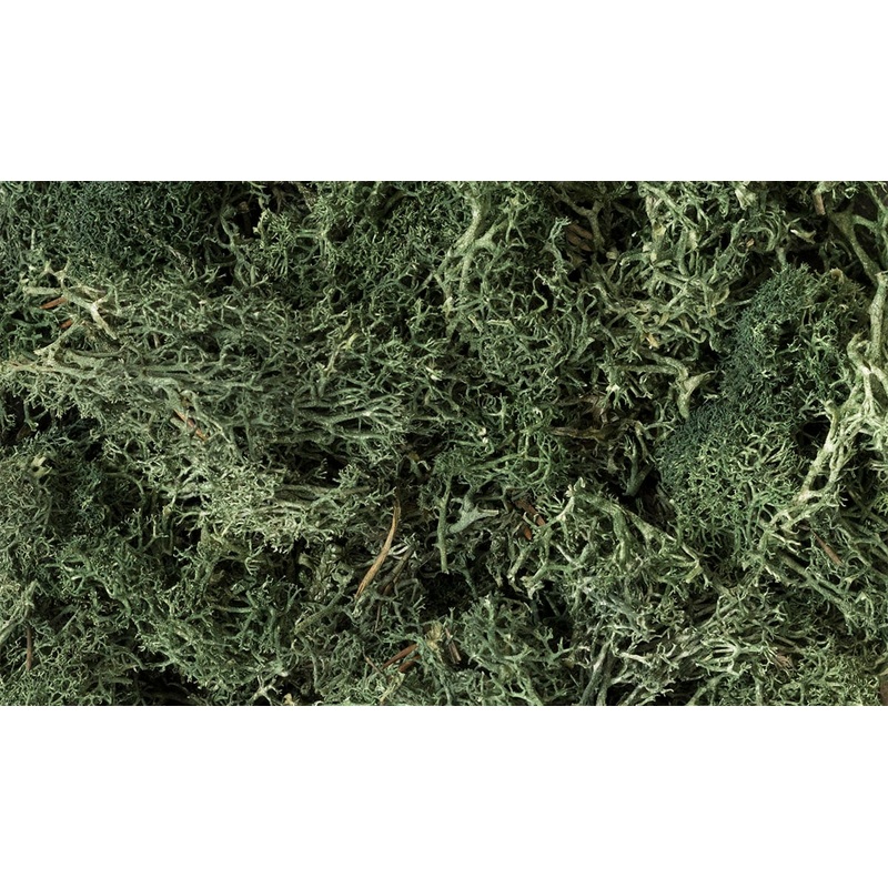 Woodland Scenics WDS L164 WDS164 Lichen – Dark Green NEW