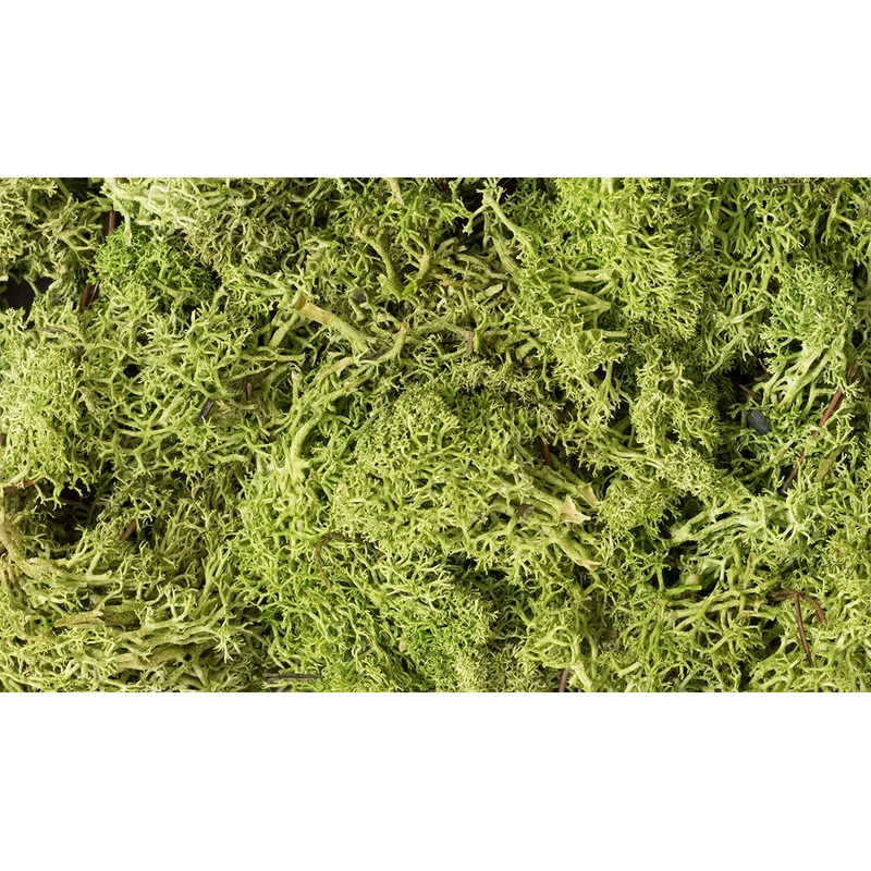 Woodland Scenics L 162 Light Green Lichen