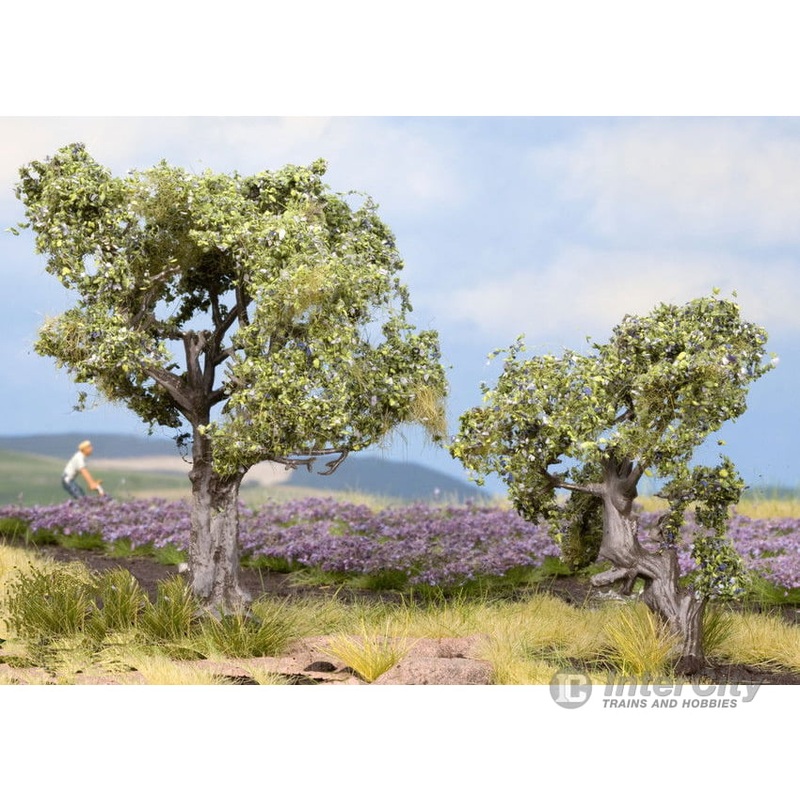 Noch 21995 HO Olive Trees
