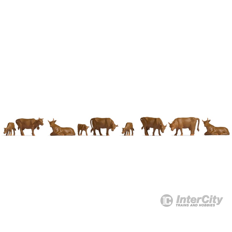 Noch 38216 N Cows, Brown